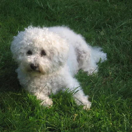 Romantic * Labaroche