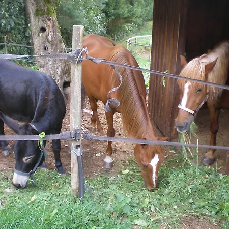 Romantic Διαμέρισμα *