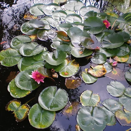 Romantic Apartman Labaroche