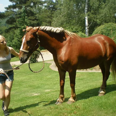 Apartman Romantic Labaroche