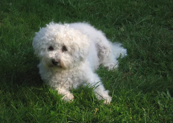 Romantic * Labaroche