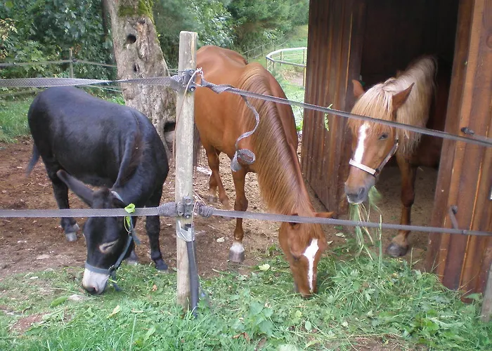Romantic Apartment *