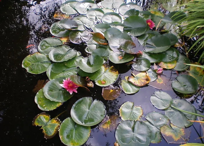 Romantic Apartment Labaroche