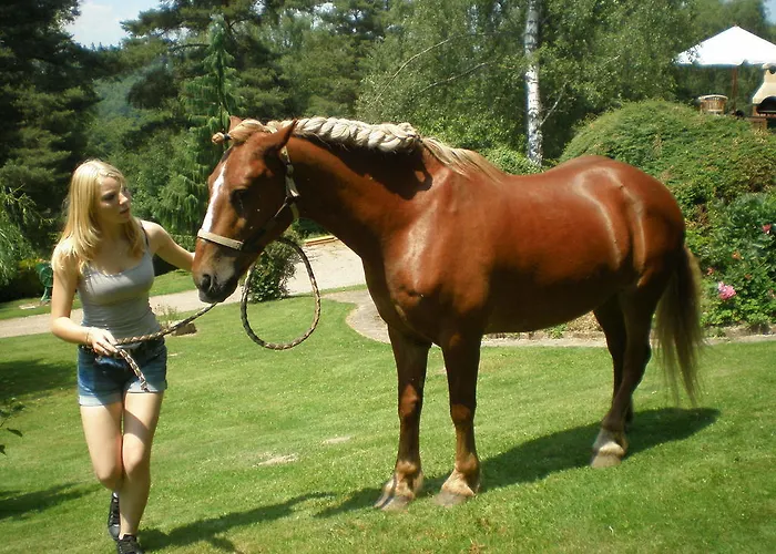 Apartment Romantic Labaroche